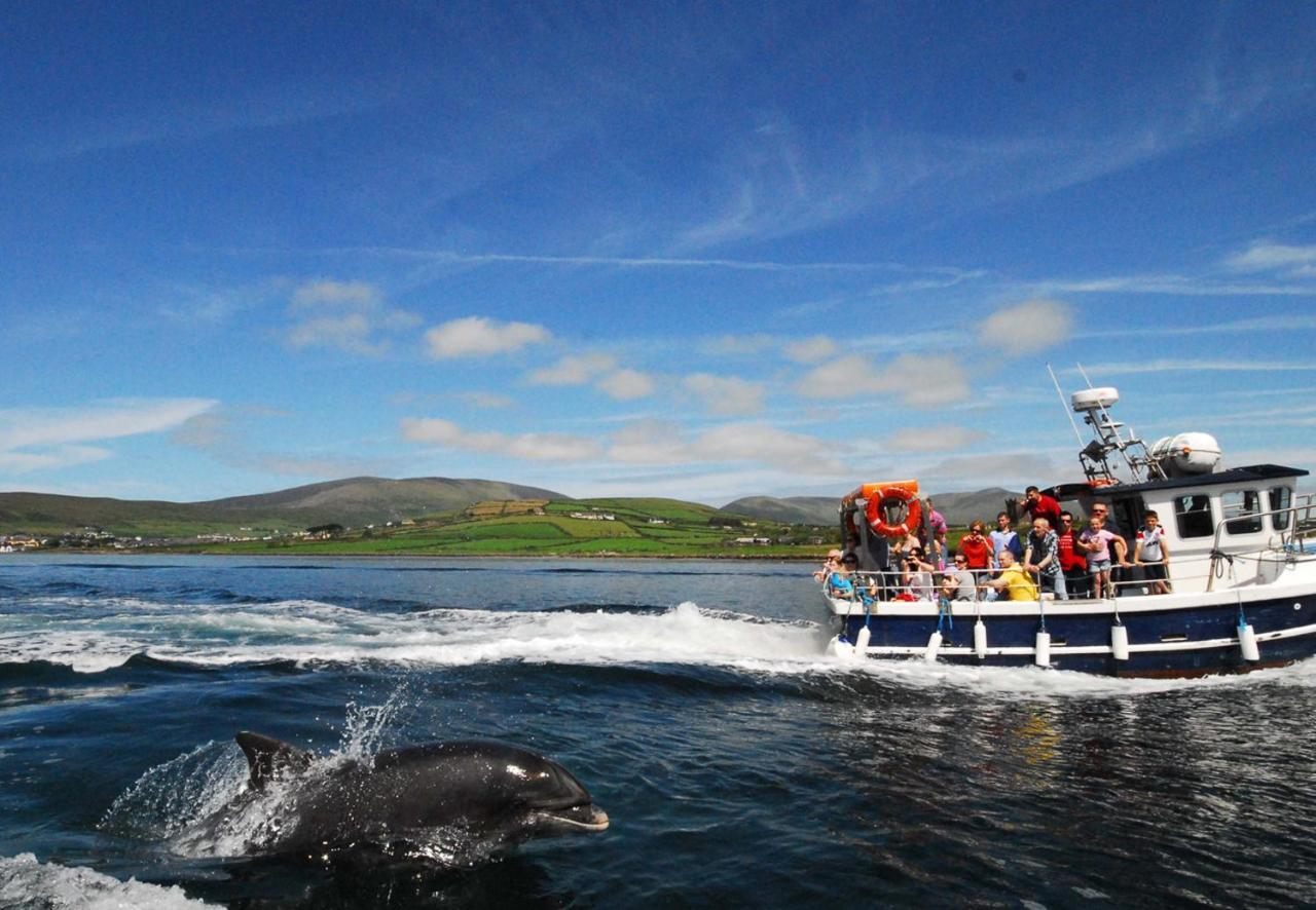Dingle Harbour Cottages 3 Bed Sleeps 7 By Trident Holiday Homes Buitenkant foto