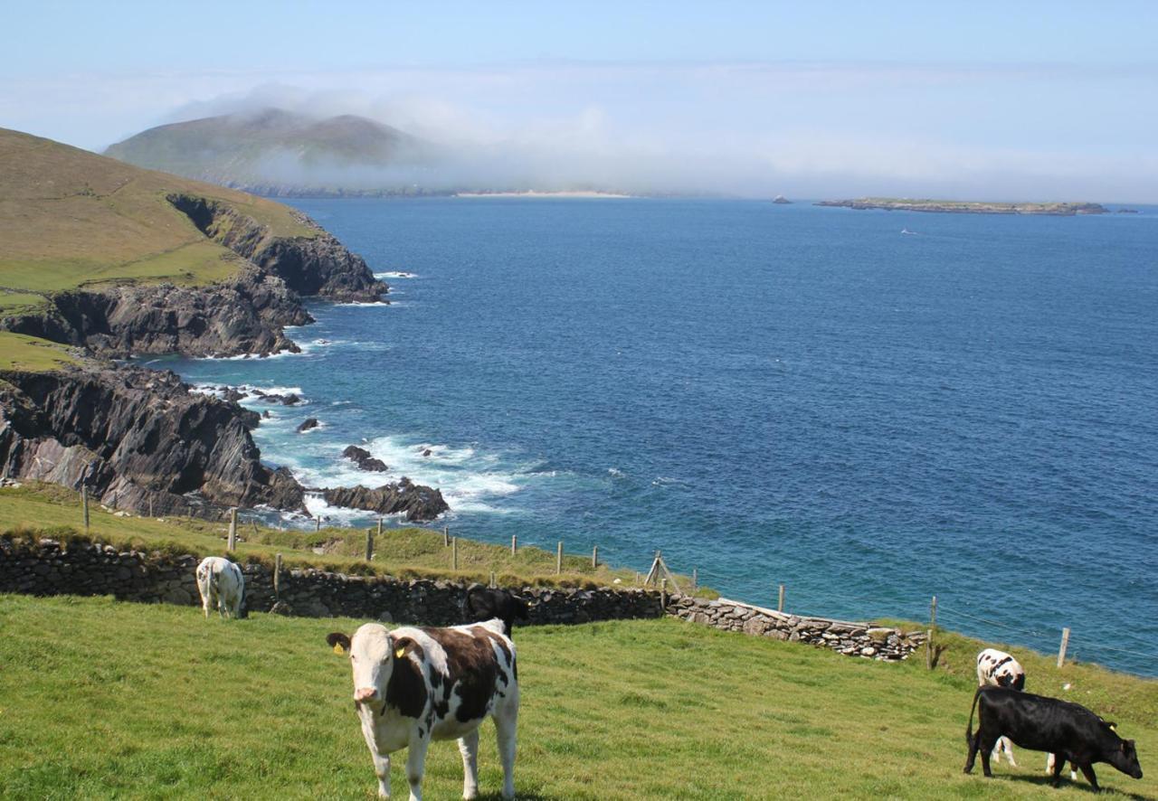 Dingle Harbour Cottages 3 Bed Sleeps 7 By Trident Holiday Homes Buitenkant foto